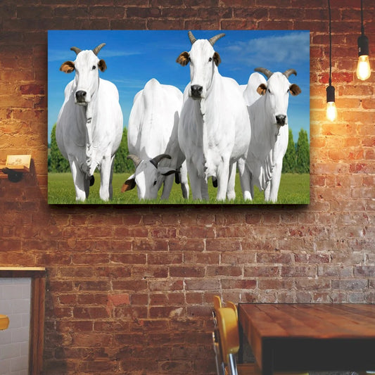 Quadro Boi Nelore Pasto Verde