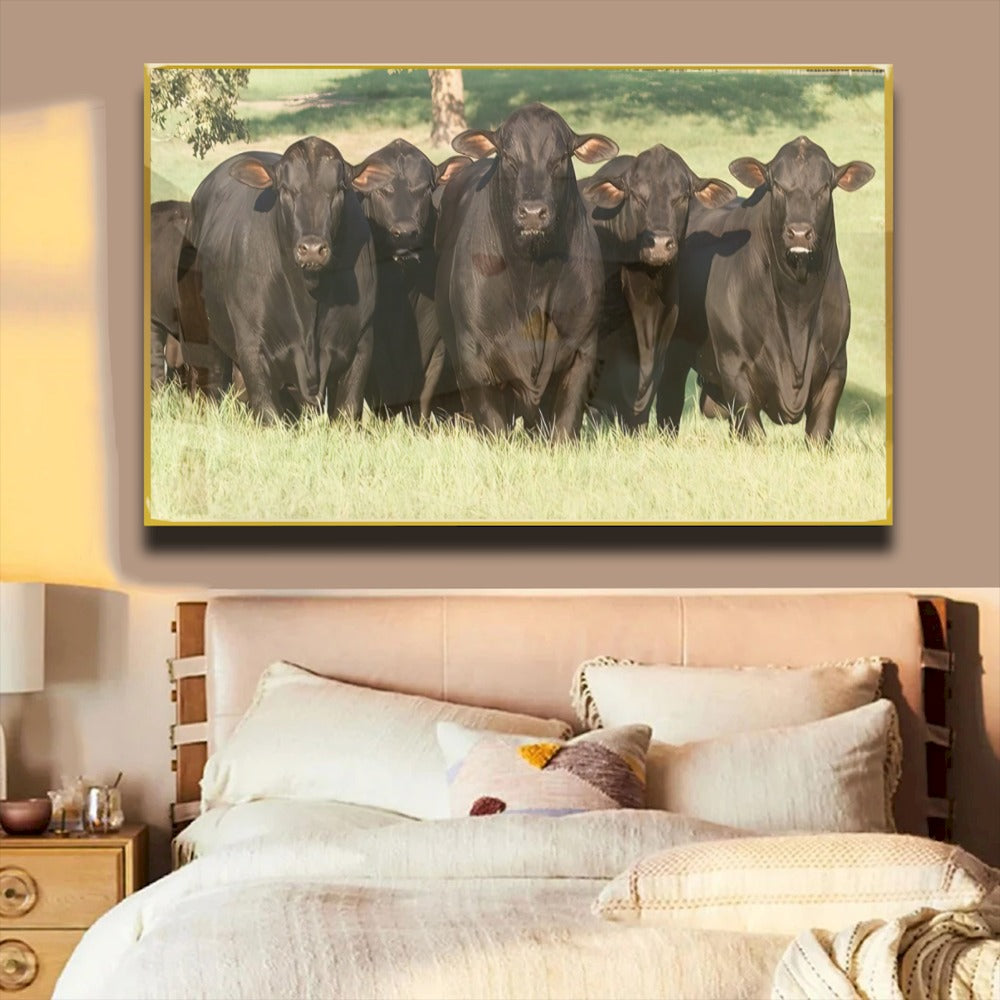 Quadro Bois Bonsmara