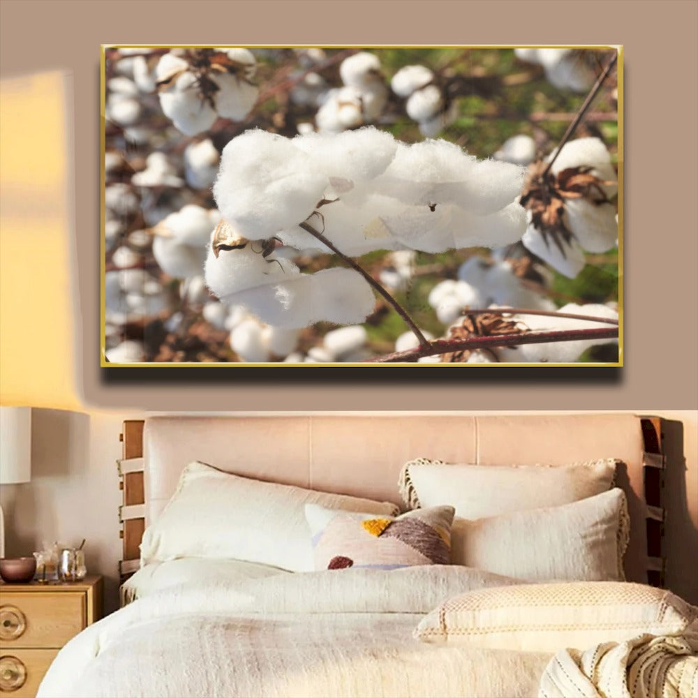 Quadro Capulho De Algodão