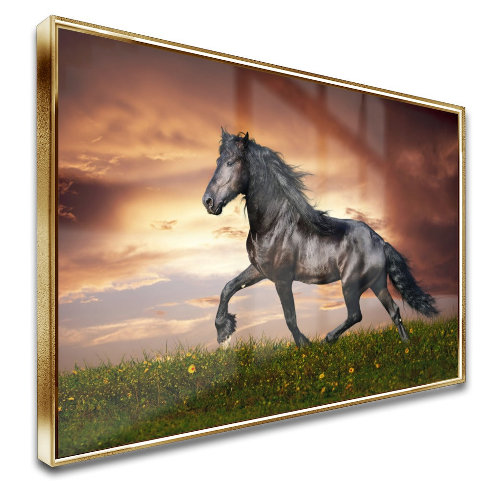 Quadro Lindo Cavalo Crioulo Correndo No Campo