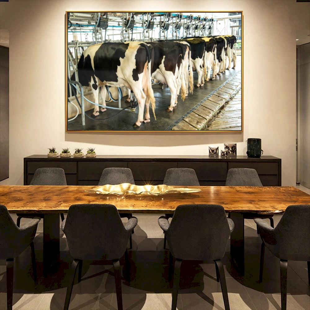 Quadro Vacas Holandesas Na Ordenha