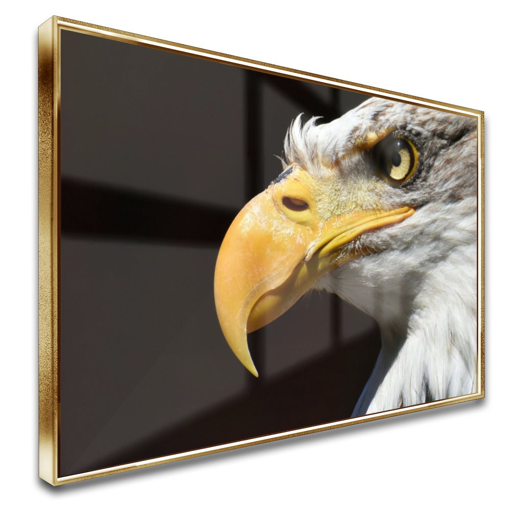 Quadro Visão De Águia