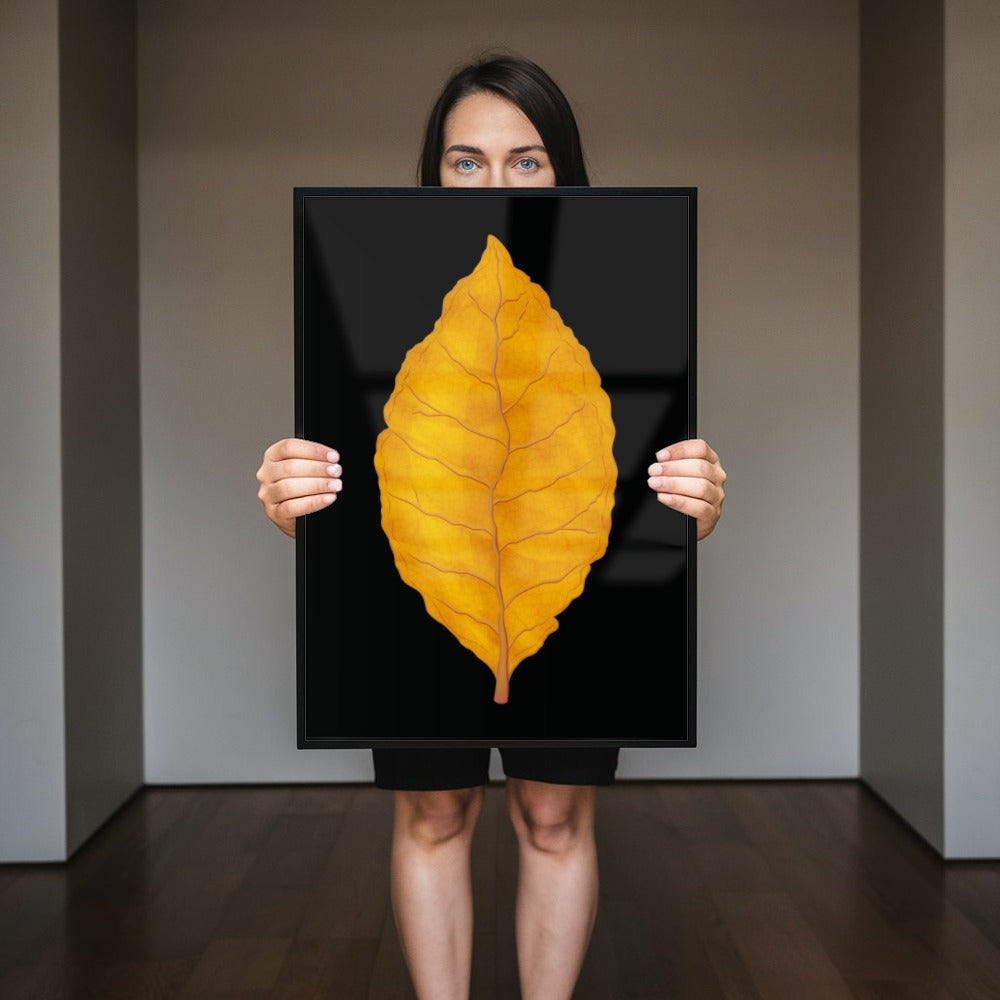Quadro Folha De Tabaco Virginia Blackout