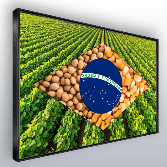 Quadro Bandeira Brasil Agro