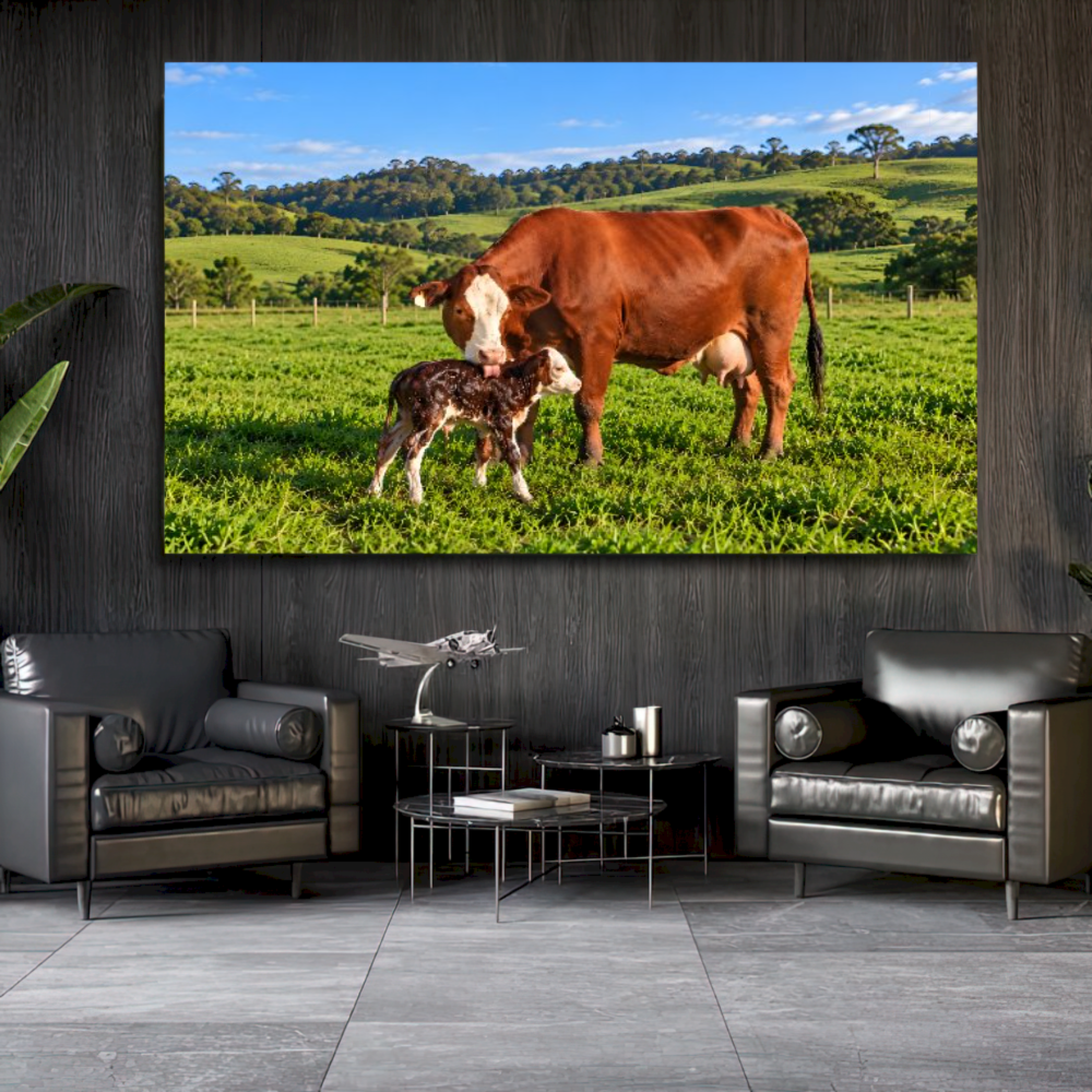 Quadro Sala Vaca e Bezerro RN
