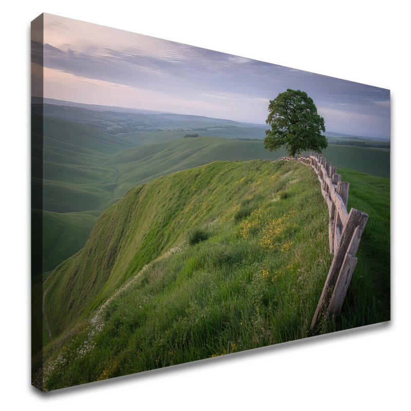 6-80x120-BI-N24