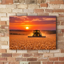 Quadro Colheita ao Pôr do Sol