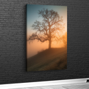 Quadro Arvore E Pôr Do Sol