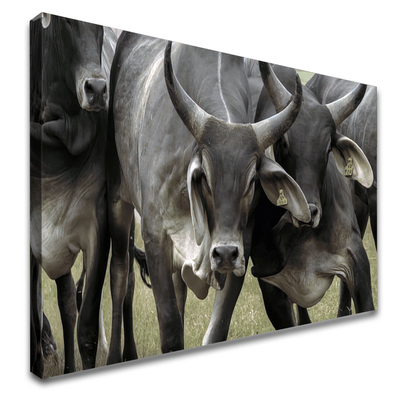 6-60x40-BI-N518