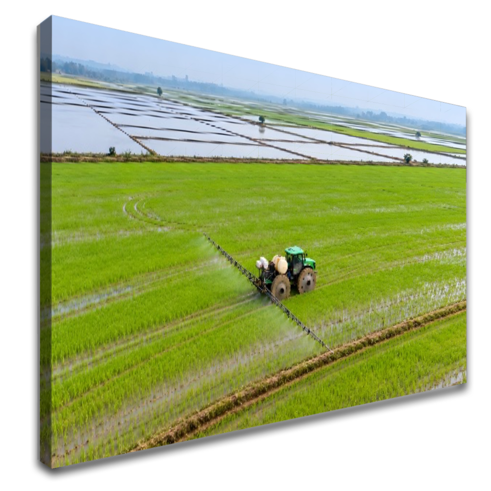 Quadro Escritório Campo Verde Trator