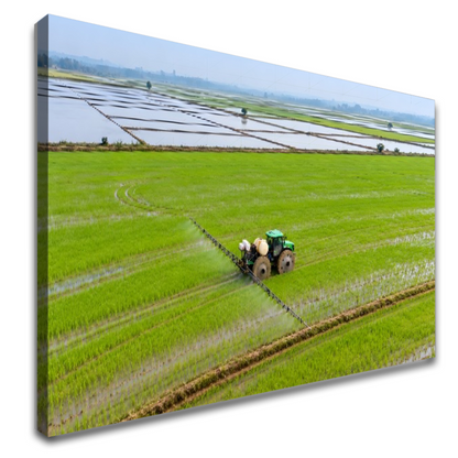Quadro Escritório Campo Verde Trator