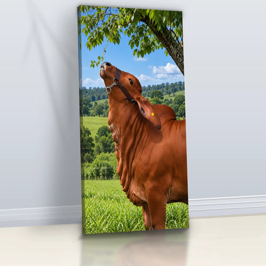 Quadro Cozinha Touro Nelore Rural