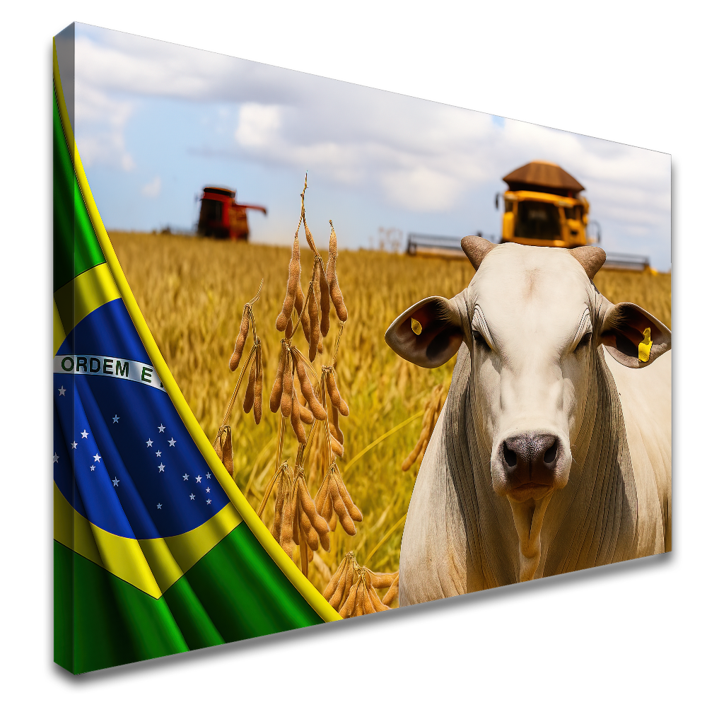 6-90x60-BI-N765654557601