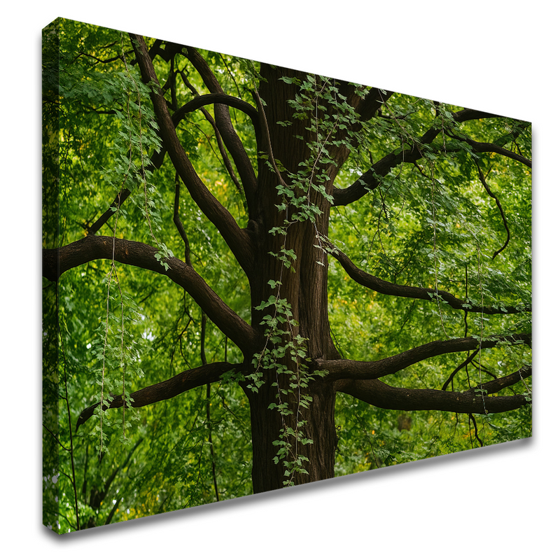 Quadro Árvore Majestosa E Folhagem