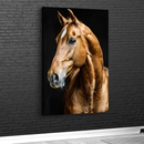 Quadro Quadro Cavalo Fundo Black