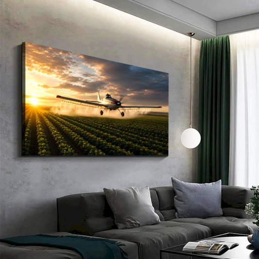 Quadro Varanda Avião Pulverização