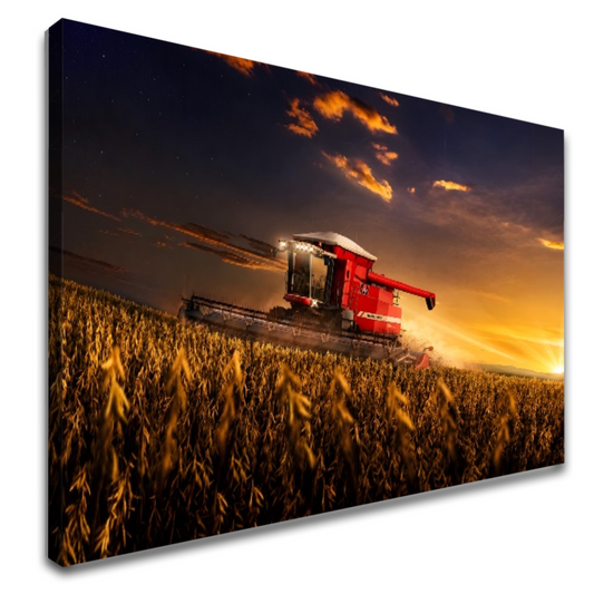 Quadro Sala Colheita ao Pôr do Sol