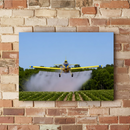 Quadro Escritório Avião Pulverizador