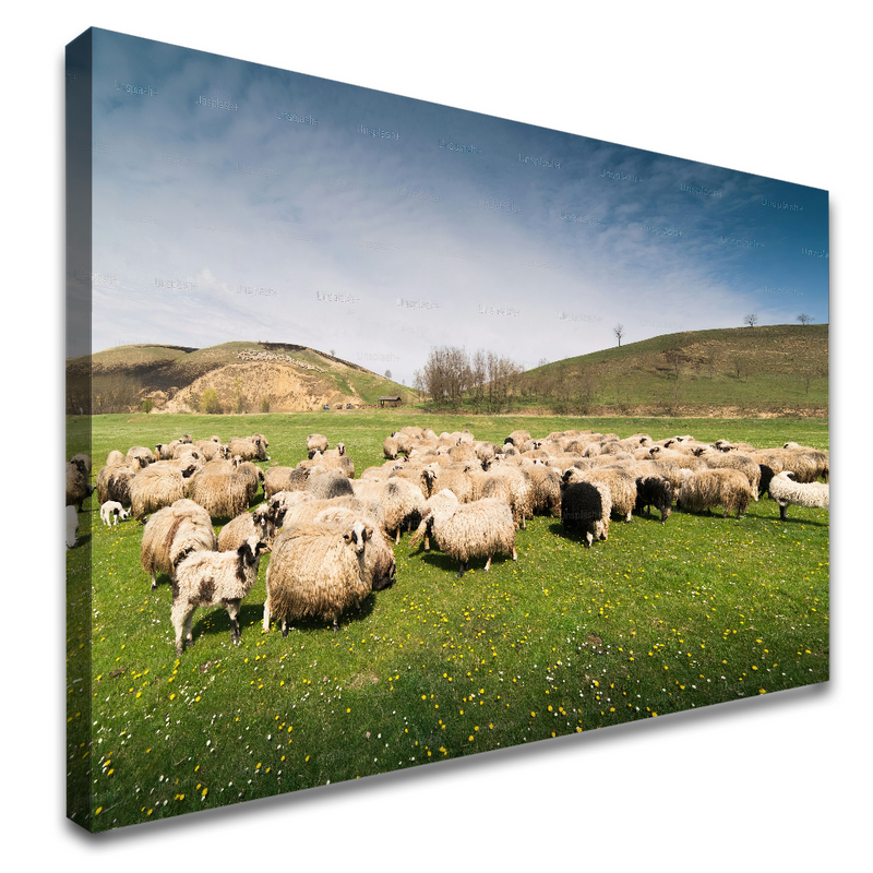 6-90x60-BI-N517