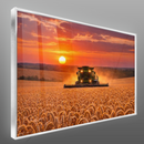 Quadro Colheita ao Pôr do Sol