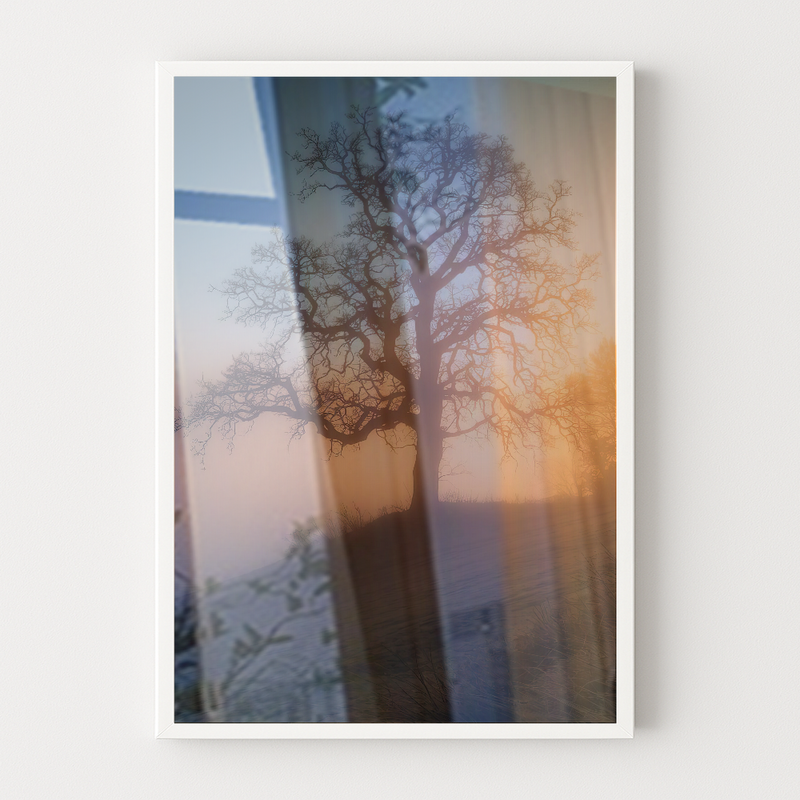 Quadro Arvore E Pôr Do Sol