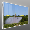 Quadro Escritório Avião Pulverizador