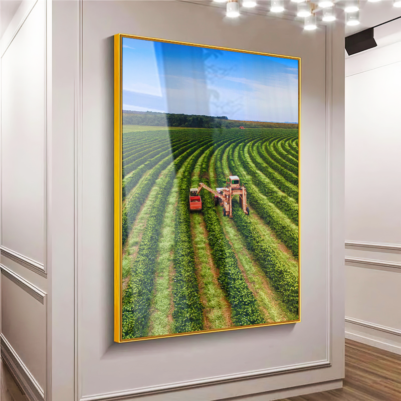 Quadro Colheita Café Vertical