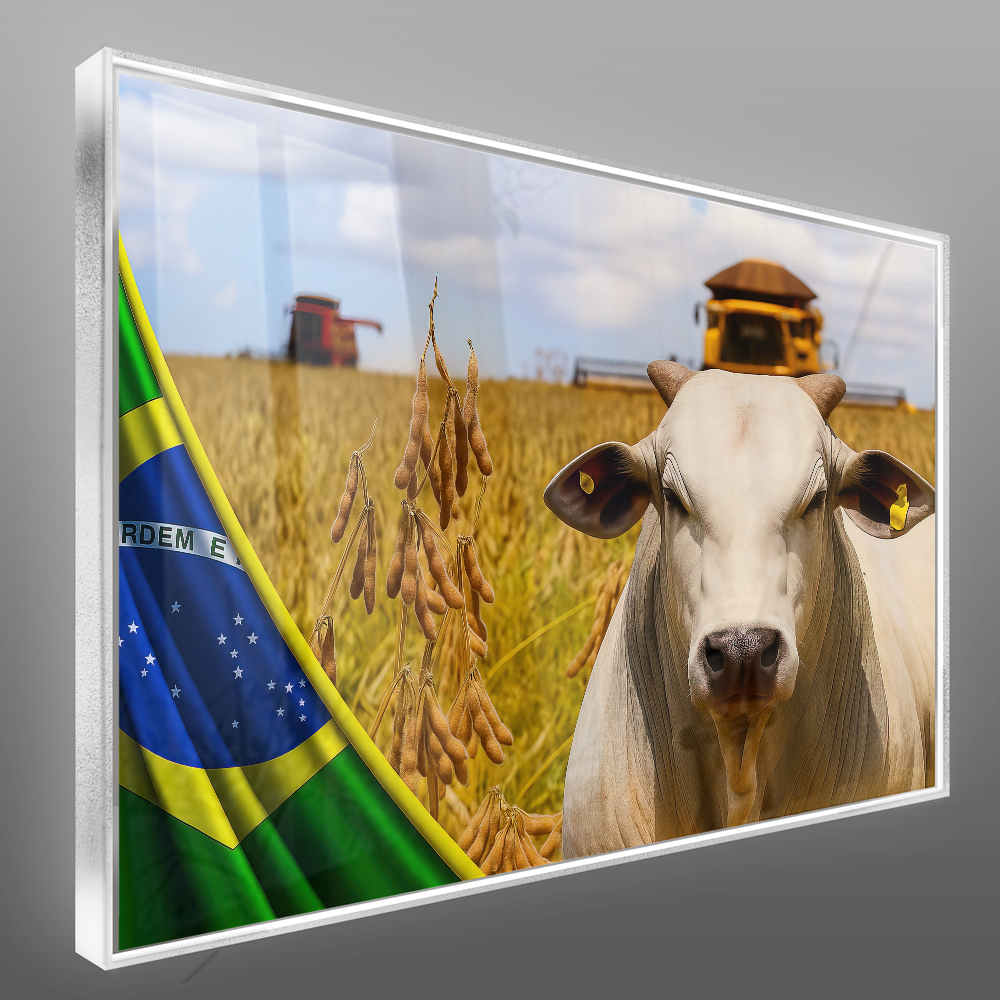 Quadro Lavoura, Gado, Maquinas E Bandeira Nacional