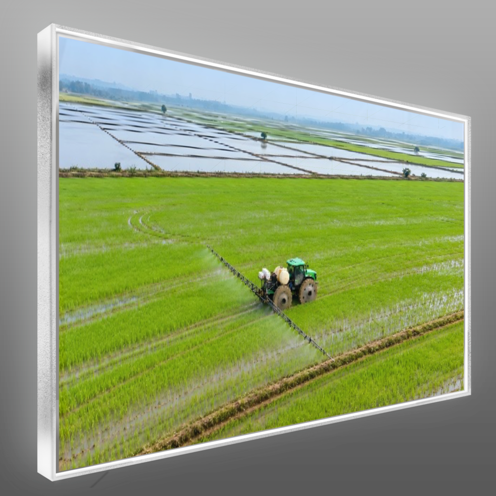 Quadro Escritório Campo Verde Trator
