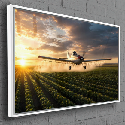 Quadro Varanda Avião Pulverização