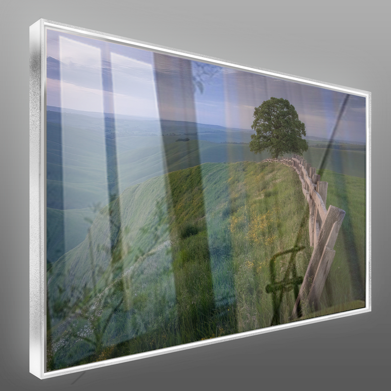 Quadro Sertão Cerca Campo