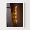 6-100x150-MBCCV-N521