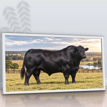 Quadro Escritório Touro Angus Preto