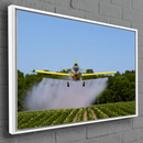 Quadro Escritório Avião Pulverizador