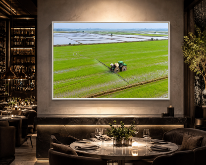 Quadro Escritório Campo Verde Trator