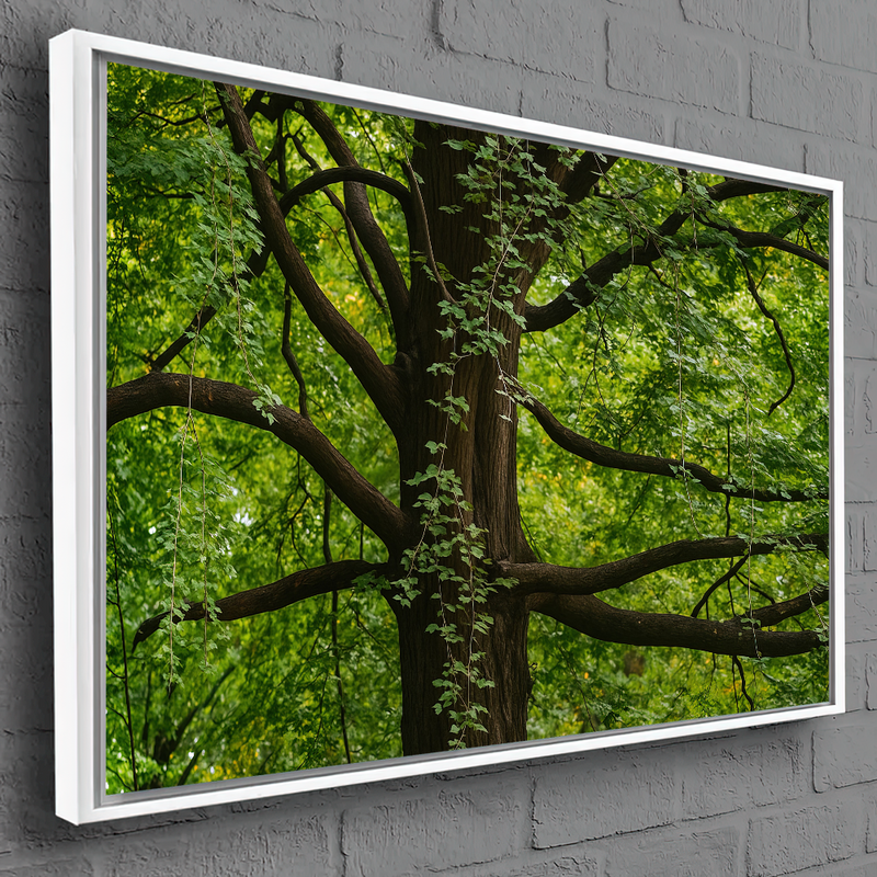 6-60x90-MB-N17