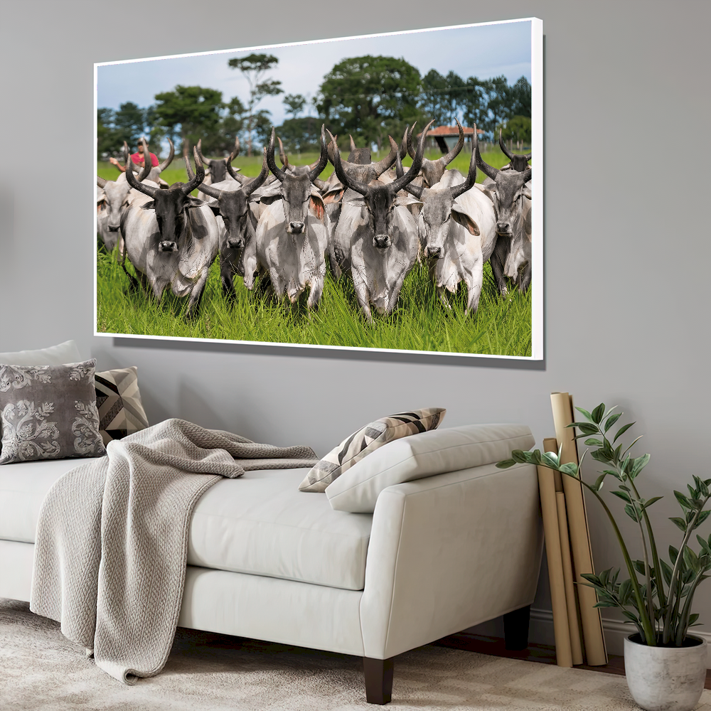 Quadro Guzeira No Campo Pasto Verde