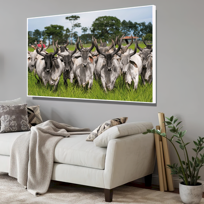 Quadro Guzeira No Campo Pasto Verde