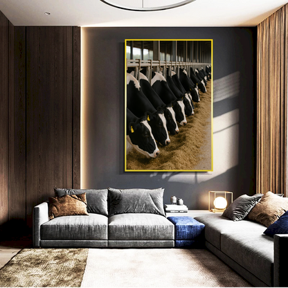 Quadro Confinamento Vacas Holandezas