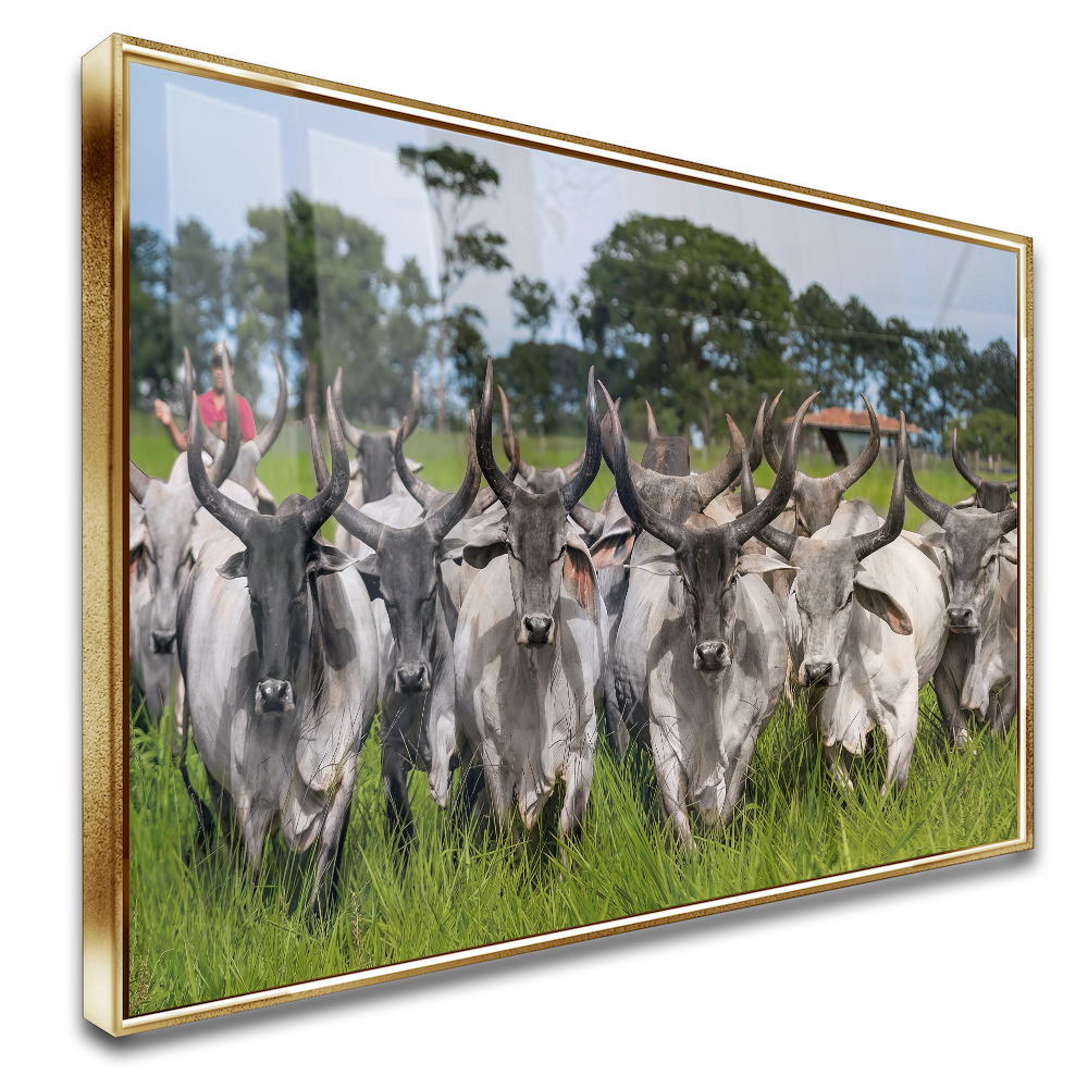 Quadro Guzeira No Campo Pasto Verde