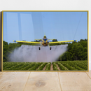 Quadro Escritório Avião Pulverizador