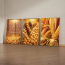 Quadro Trio Espigas De Milho Maduras