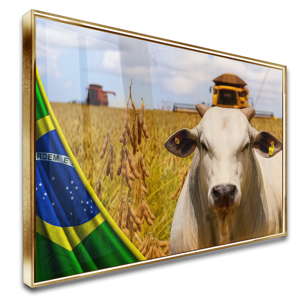 6-90x60-MDCCV-N765654557601