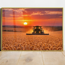 Quadro Colheita ao Pôr do Sol