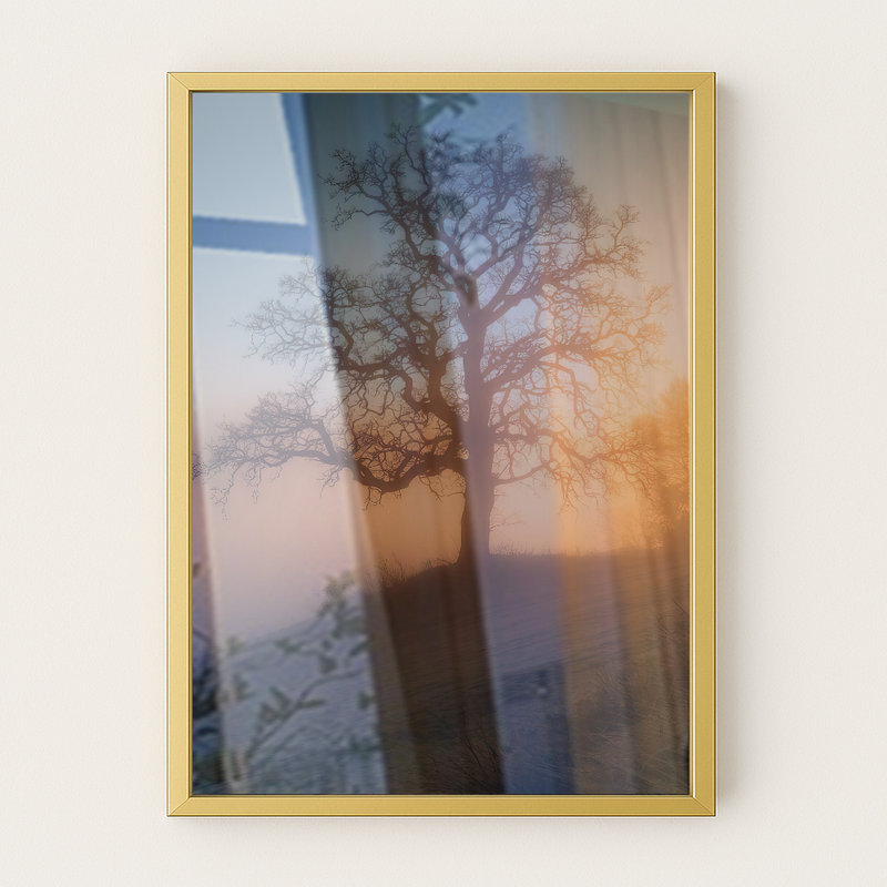 Quadro Arvore E Pôr Do Sol