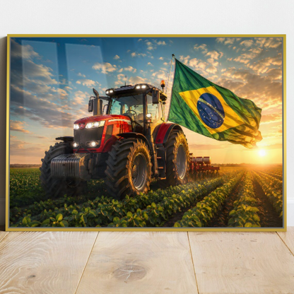 Quadro Escritório Agro Trator Brasil