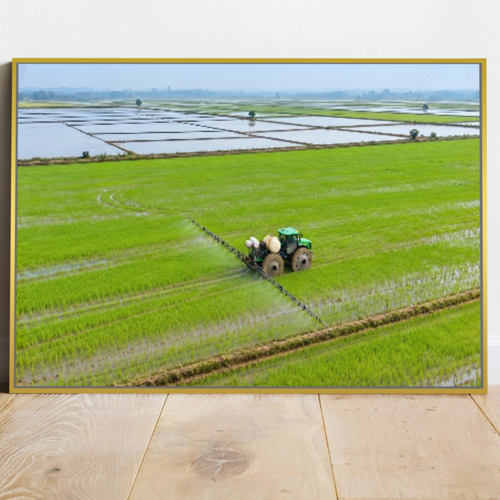 Quadro Escritório Campo Verde Trator