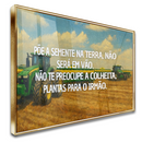 6-60x40-MDCCV-N312