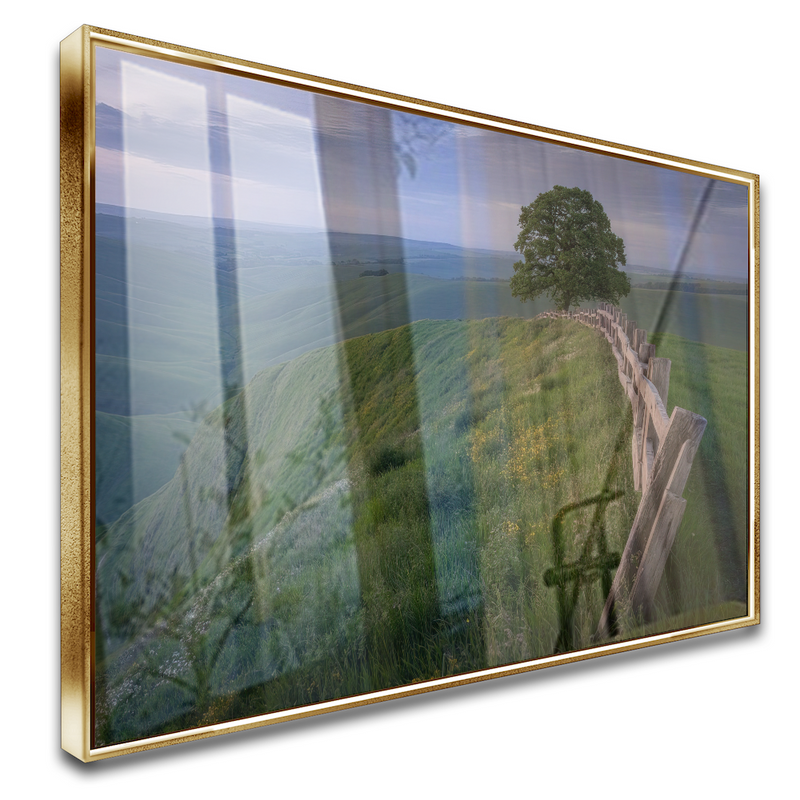 Quadro Sertão Cerca Campo
