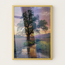 Quadro Arvore E Lago Fim De Tarde